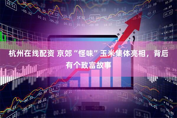 杭州在线配资 京郊“怪味”玉米集体亮相，背后有个致富故事