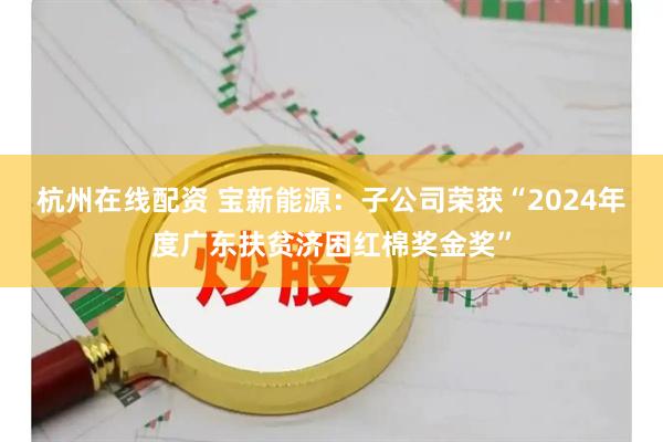 杭州在线配资 宝新能源：子公司荣获“2024年度广东扶贫济困红棉奖金奖”