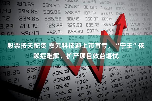 股票按天配资 嘉元科技迎上市首亏，“宁王”依赖症难解，扩产项目效益堪忧