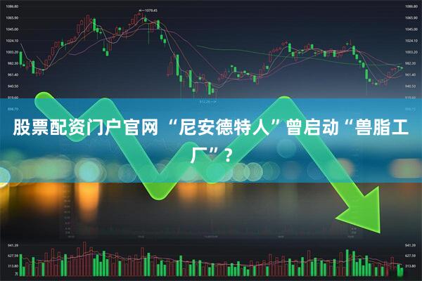 股票配资门户官网 “尼安德特人”曾启动“兽脂工厂”？